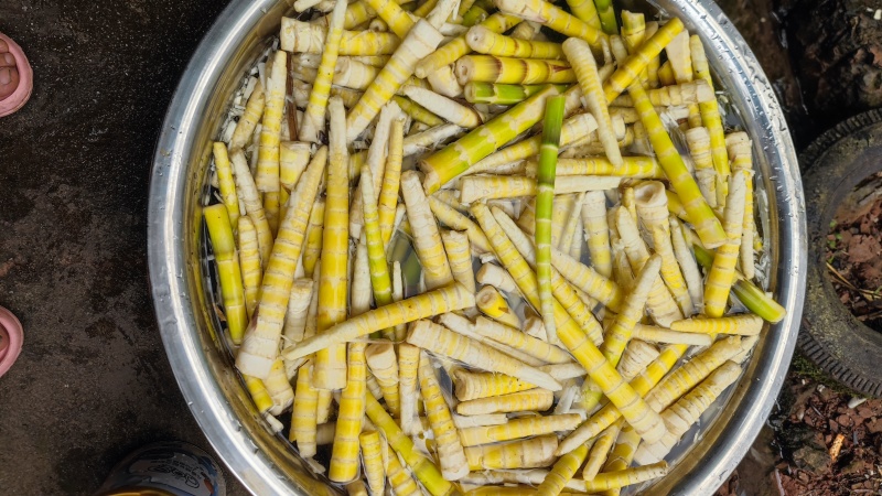 8月笋