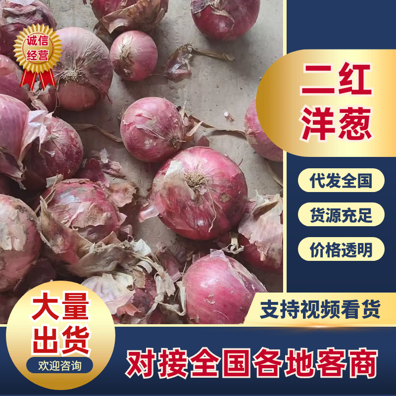 二红洋葱，一手货源，价格美丽，量大从优，品质保证
