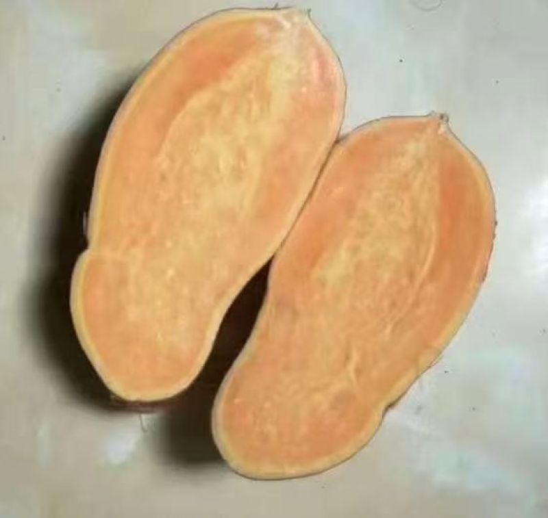 精品红薯龙九红薯一手货源量大从优价格美丽