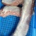 全国发货，大量供应3号肉（黑脊肉）