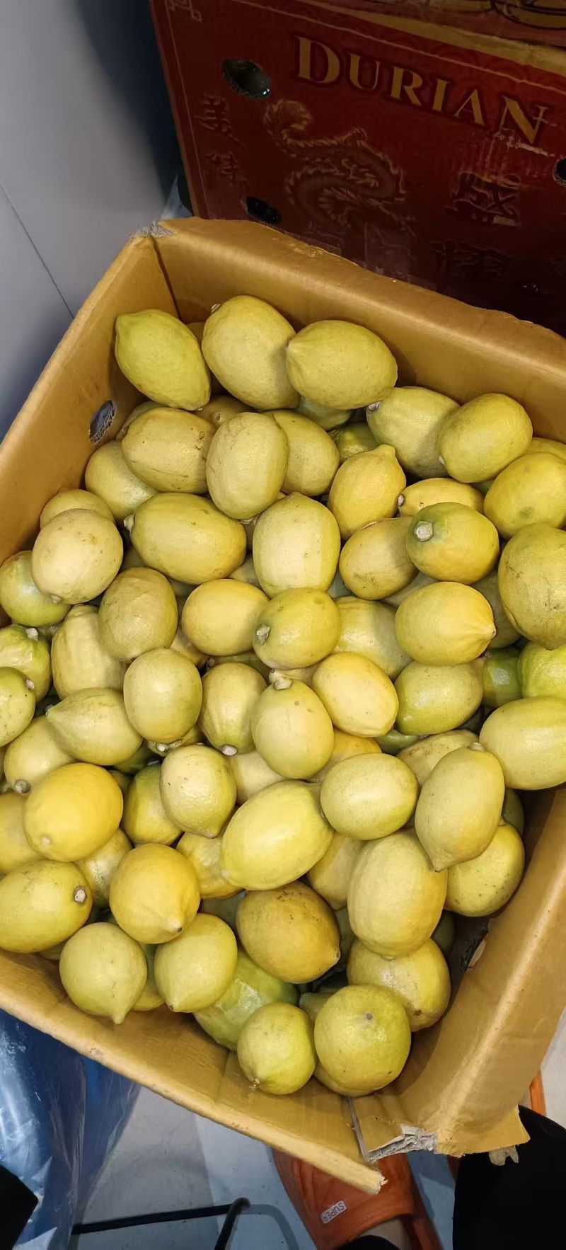 广东香水柠檬黄果