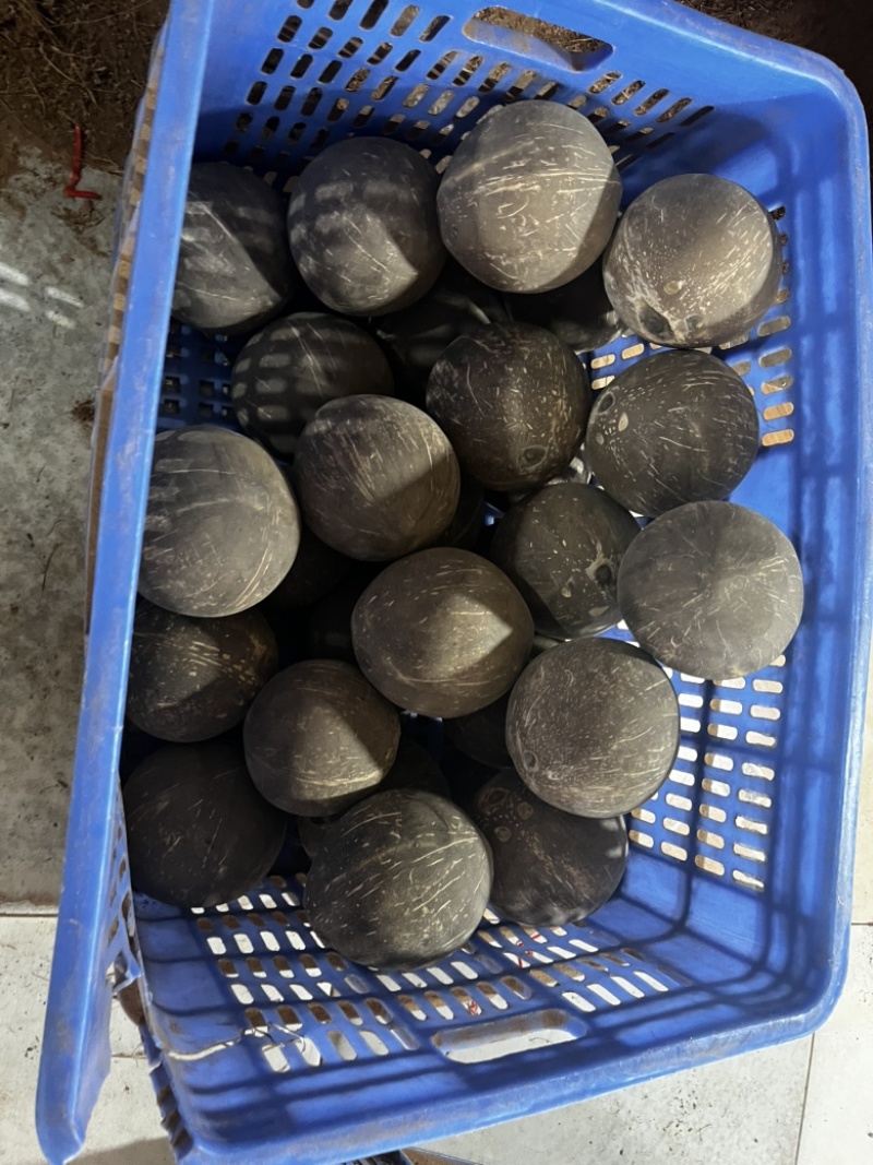 椰皇