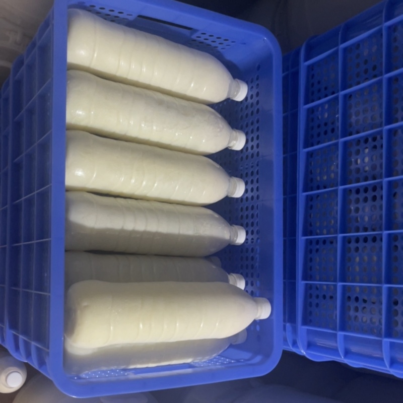 生鲜水牛奶批发