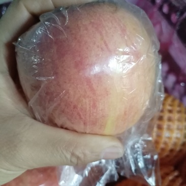 红富士苹果