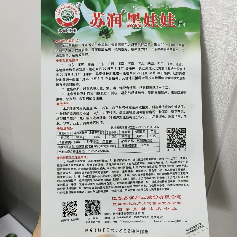 皱皮辣椒种子中早熟皮薄质脆辣味香浓大果黑绿皮大田基地