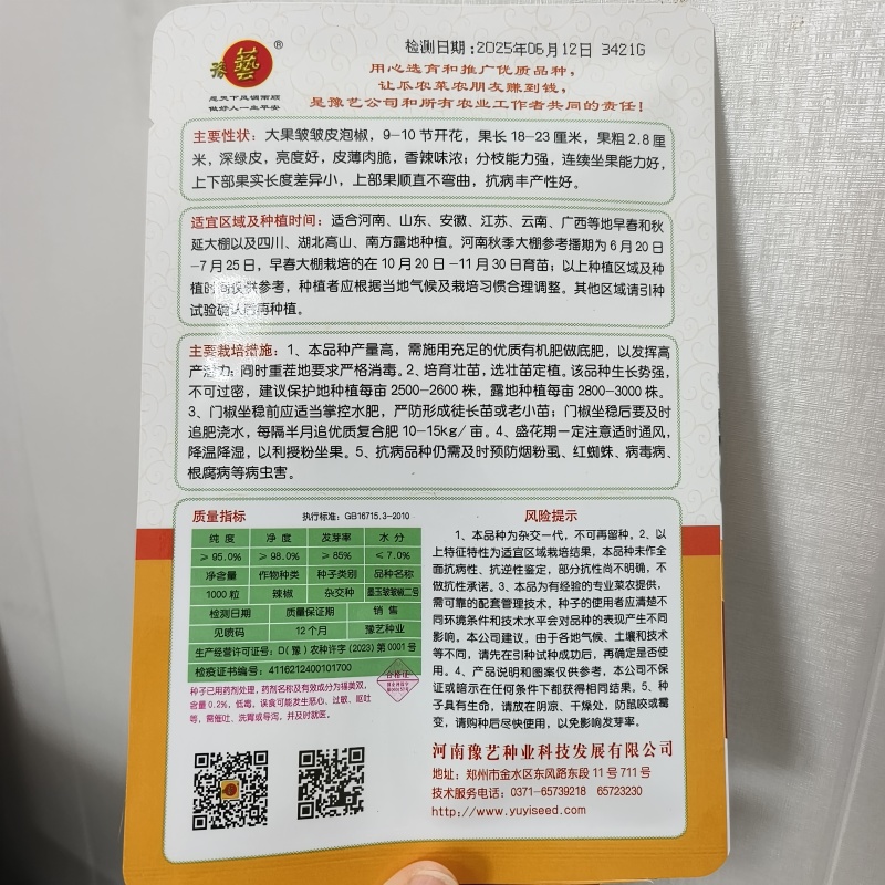 皱皮辣椒种子中早熟皮薄质脆辣味香浓大果黑绿皮大田基地