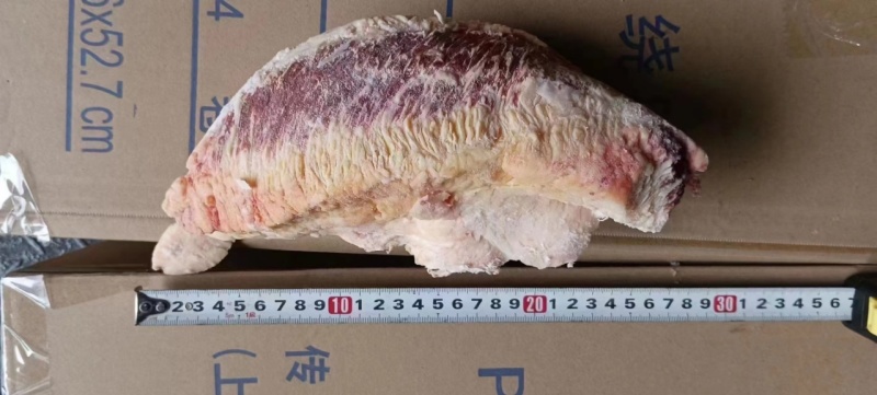 牛胸口油，烤肉火锅量大质优产地直发二合一胸口油