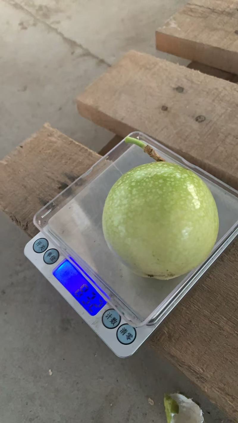 百香果/钦蜜九号百香果/广东湛江遂溪县百香果基地对接全国