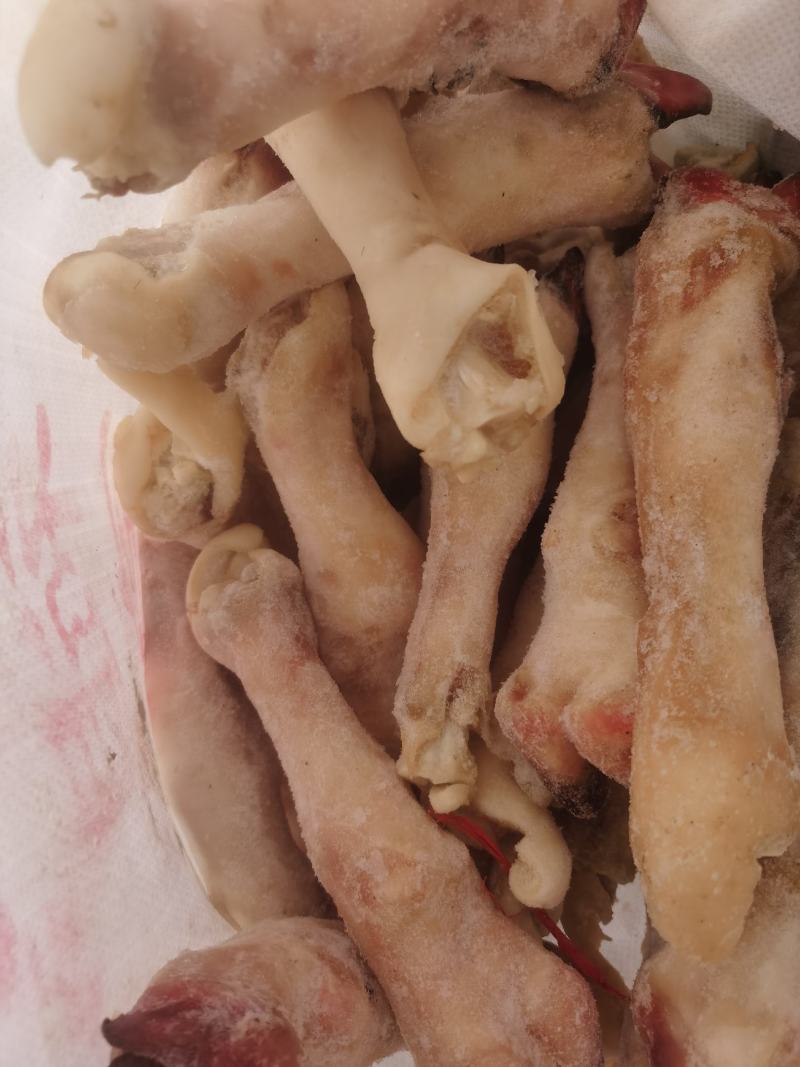 育肥羊蹄纯育肥羊蹄白蹄破损包赔全国发货精品羊蹄