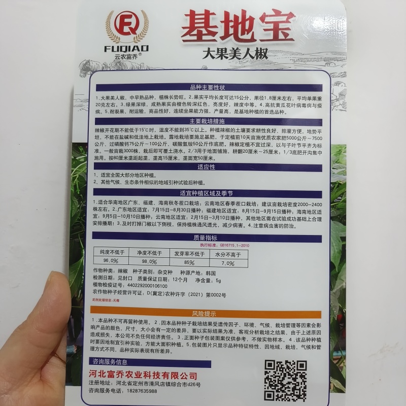 基地宝大果美人椒种子大果404大果辣椒种子早熟高产耐裂