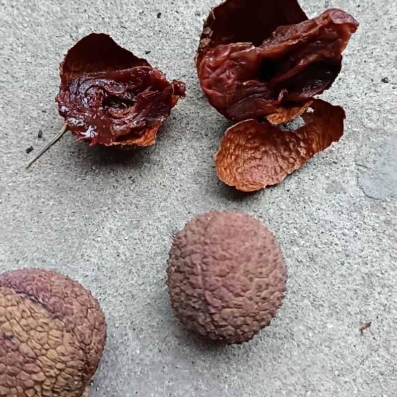 无籽荔枝干无核荔枝干大果