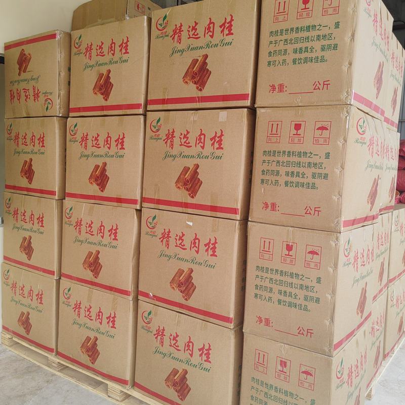 精品桂段精品肉桂10厘米现货桂皮批发广西玉林市