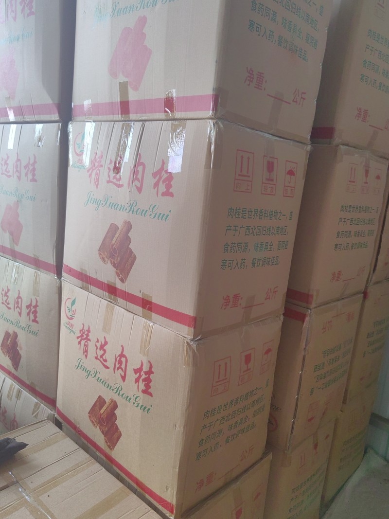 精品桂段精品肉桂10厘米现货桂皮批发广西玉林市