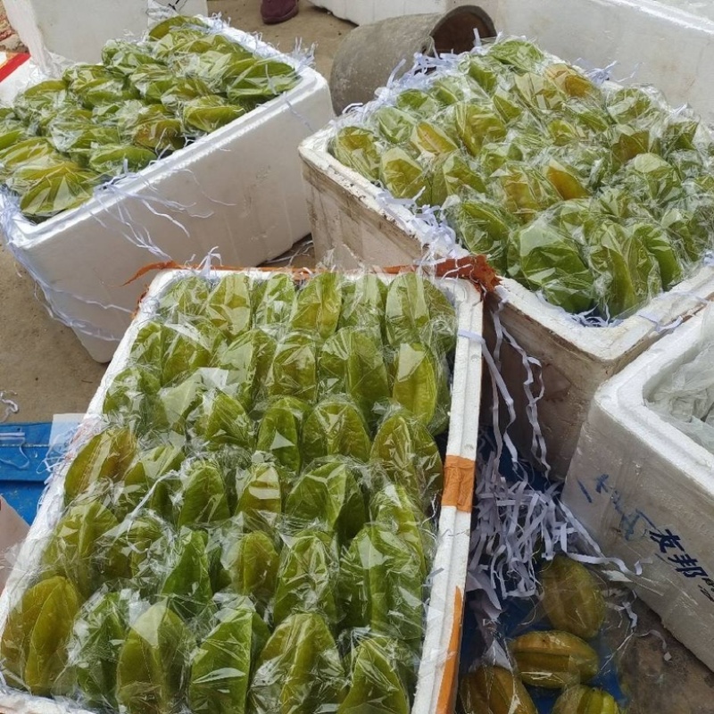 精品纯甜红杨桃香蜜杨桃清甜爽口鲜嫩多汁产地自销可开发票