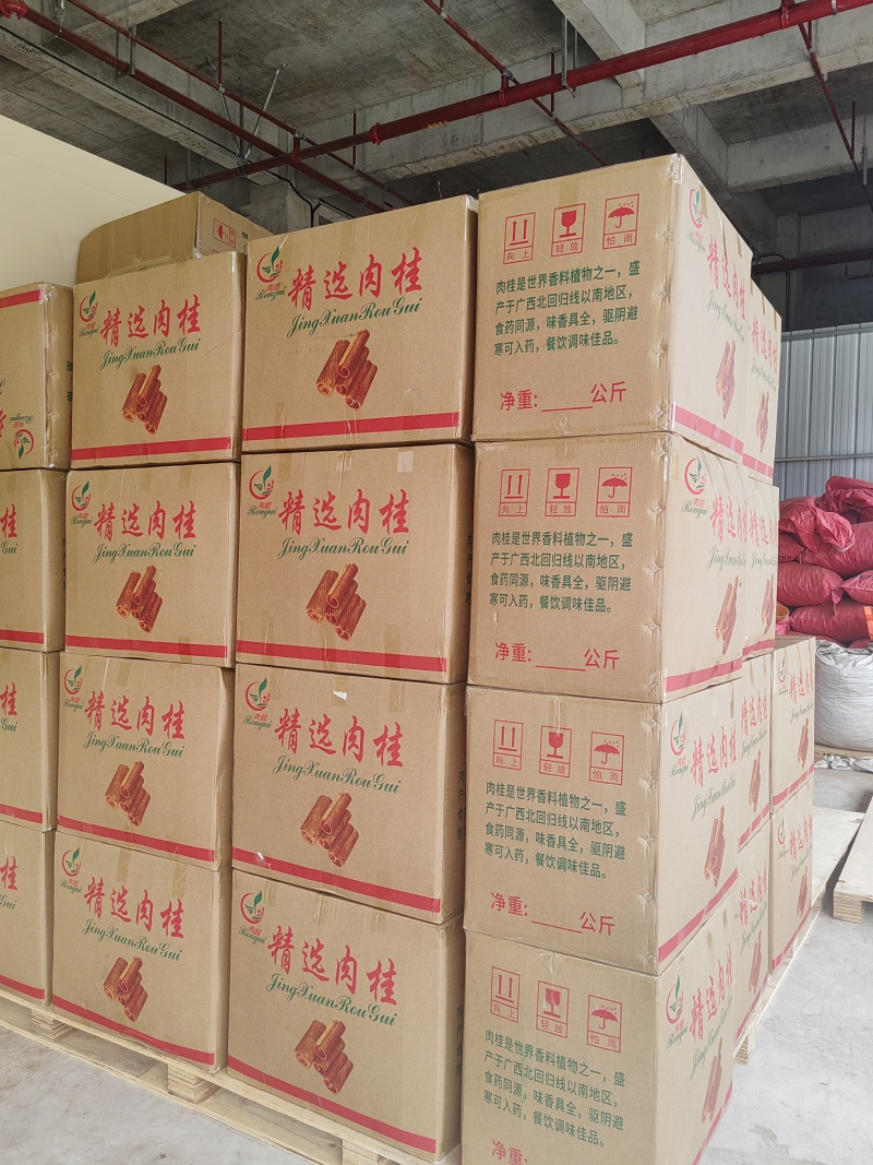 精品桂段精品肉桂10厘米现货桂皮批发广西玉林市