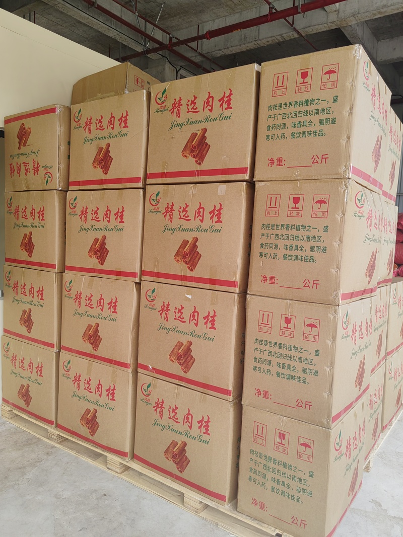 精品桂段精品肉桂10厘米现货桂皮批发广西玉林市
