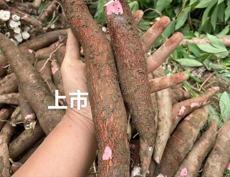 木薯，红皮的白皮都有，