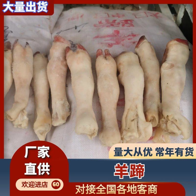 育肥羊蹄纯育肥羊蹄白蹄破损包赔全国发货精品羊蹄