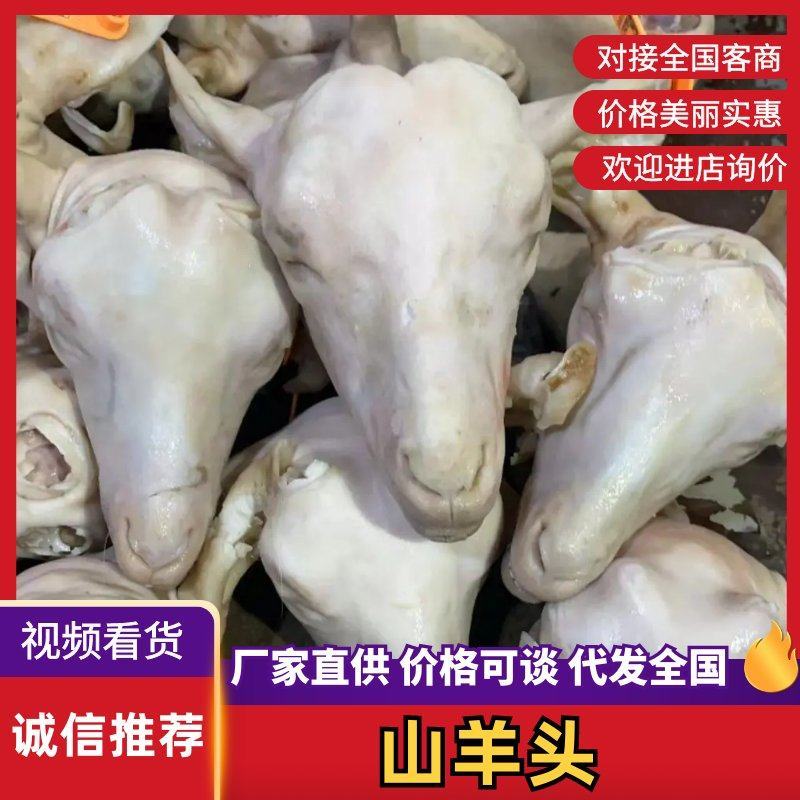 水退山羊头山羊头一手货源全国冷链发货量大质优