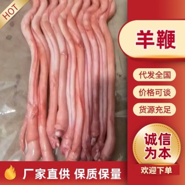 精品羊鞭精修羊鞭实拍图片全国冷链发货一手货源