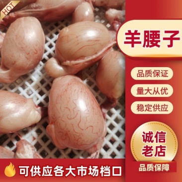 国产大小规格齐全鲜冻新疆羊睾丸羊腰子羊蛋