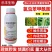 20%氯虫苯甲酰胺，防治钻心虫菜青虫甜菜夜蛾等