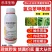 20%氯虫苯甲酰胺，防治钻心虫菜青虫甜菜夜蛾等