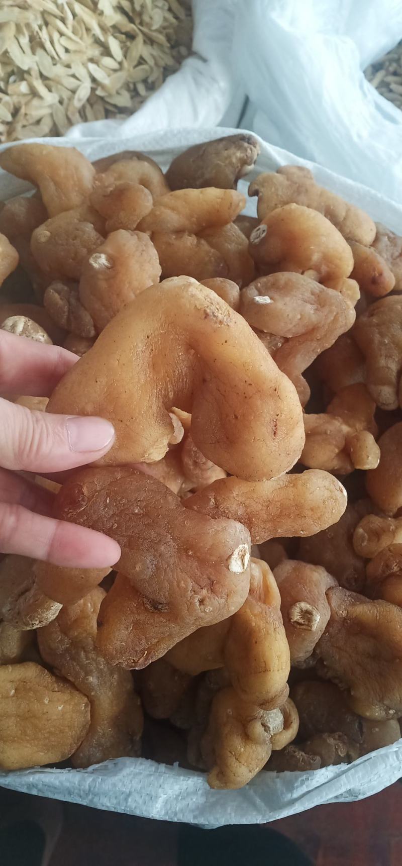 无硫黄精