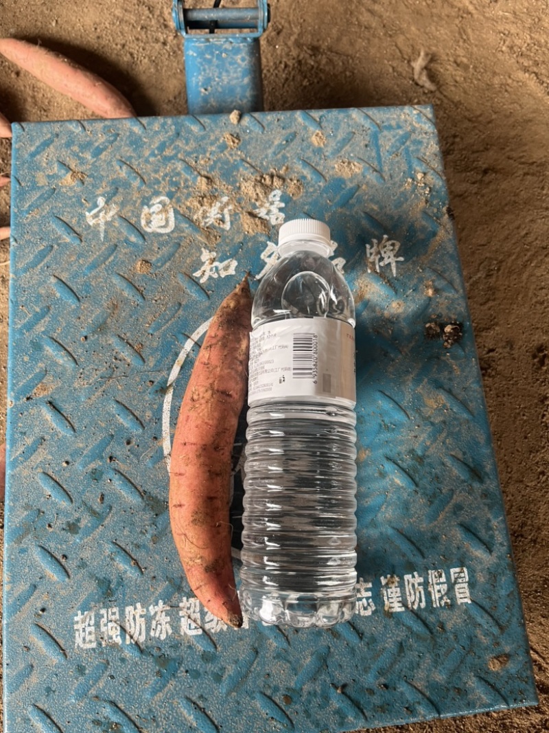 烟薯25