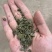 永州宁远一级青饼菜籽枯！有机肥