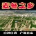 四川麦冬，源头产地，自助下单，包邮到家，大货请私信！