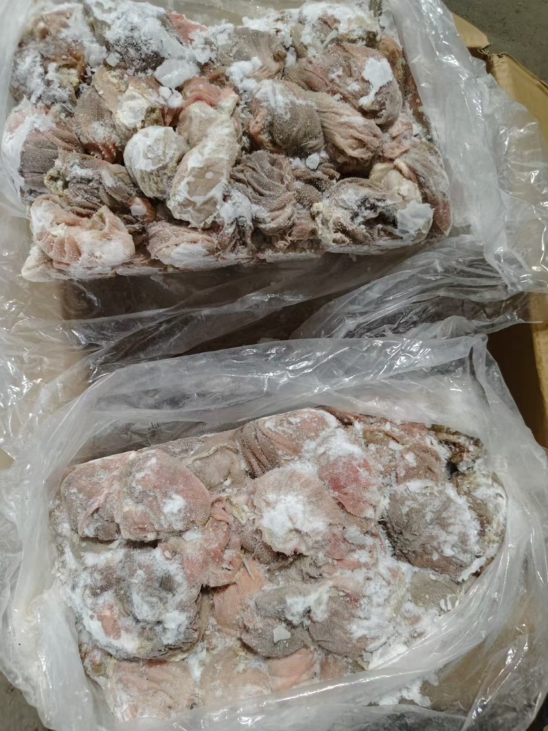 【羊百叶】当地羊百叶！涮锅爆炒凉拌炖煮，口感爽脆味道鲜美