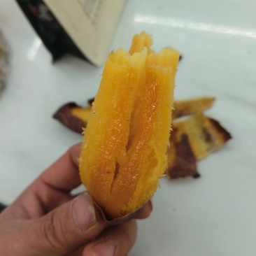 【推荐】山东夏津榴莲蜜薯软糯香甜现挖现发欢迎咨询合作