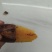 【推荐】山东夏津榴莲蜜薯软糯香甜现挖现发欢迎咨询合作