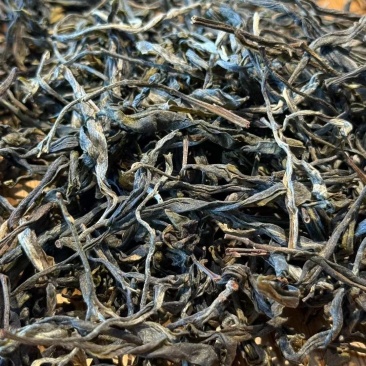 云南古树大叶茶