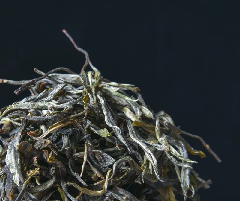 云南古树大叶茶