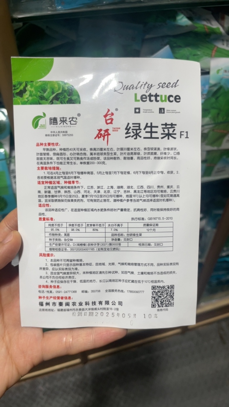 绿生菜种子早熟半结球叶质脆嫩口感甜脆南北方均可栽