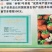 妙香七号草莓苗，抗病亩产五千斤香甜味美