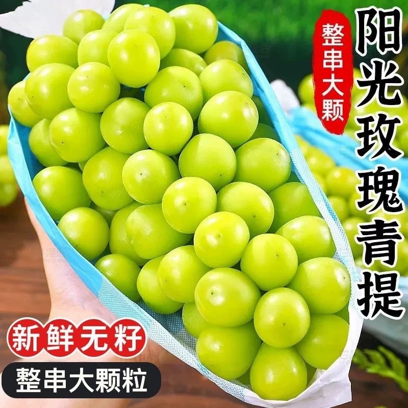 阳光玫瑰葡萄，宿迁阳光玫瑰大量供应，颗粒大糖份高质量保证
