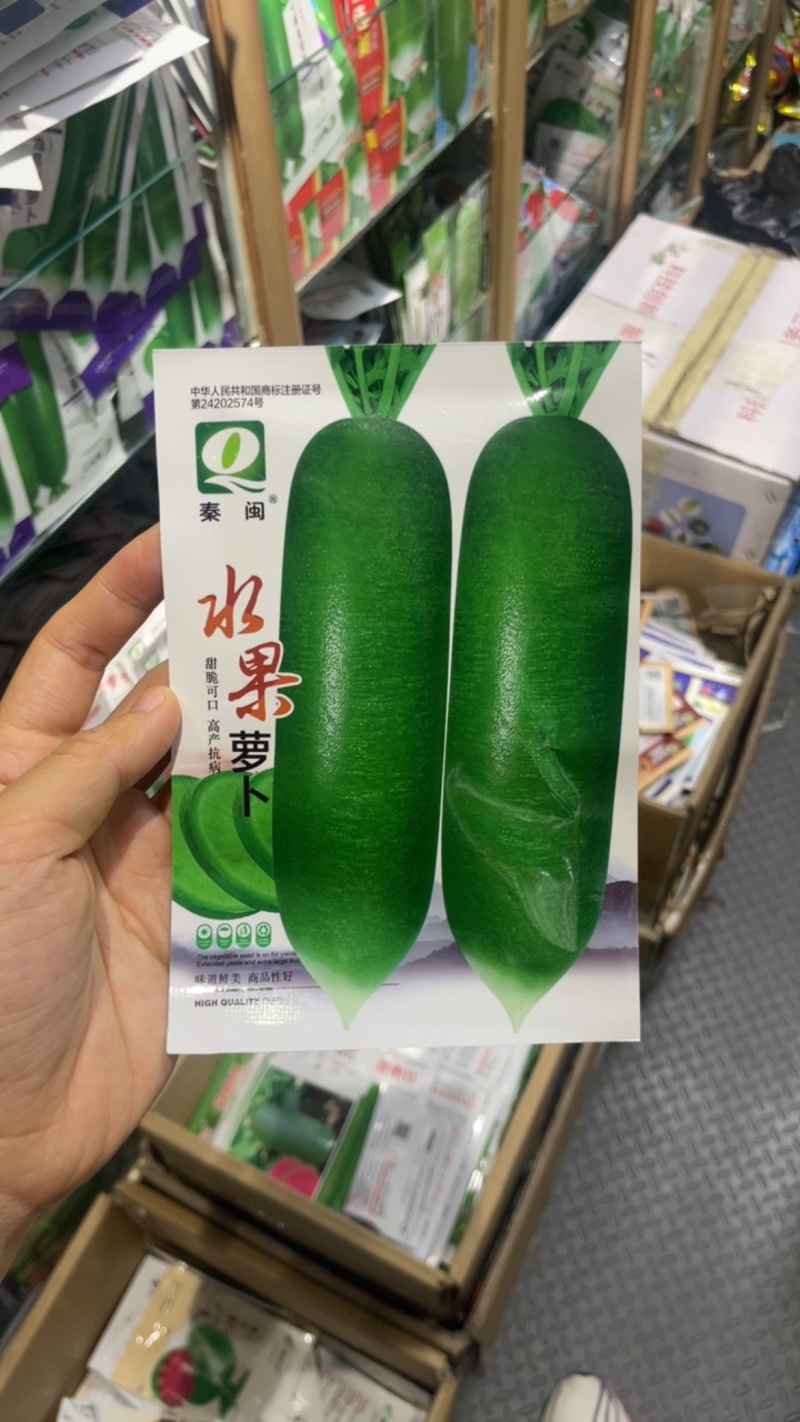 水果萝卜种子生吃脆甜农家蔬菜种四季播种阳台盆栽绿萝卜