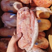 黄膘原油牛腰，锡盟屠宰场工厂直销，全国冷链发货！纯草原牛