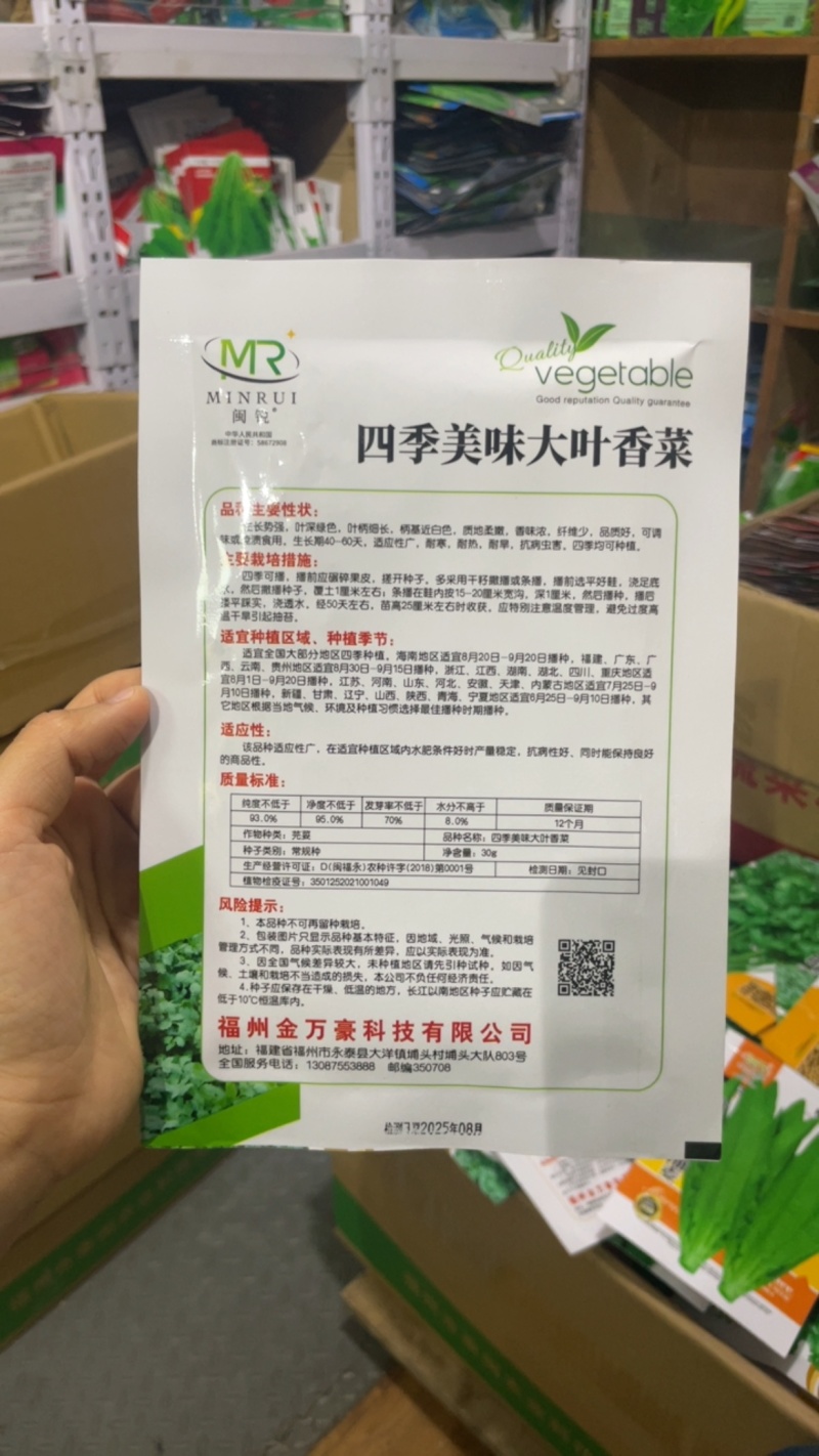 香菜种子耐热耐寒四季可播种南北方均可种植