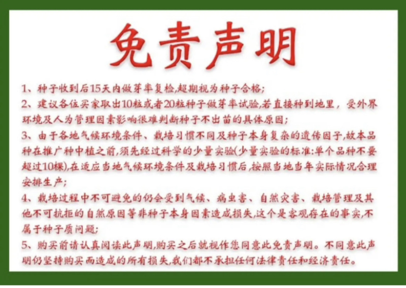 香菜种子耐热耐寒四季可播种南北方均可种植