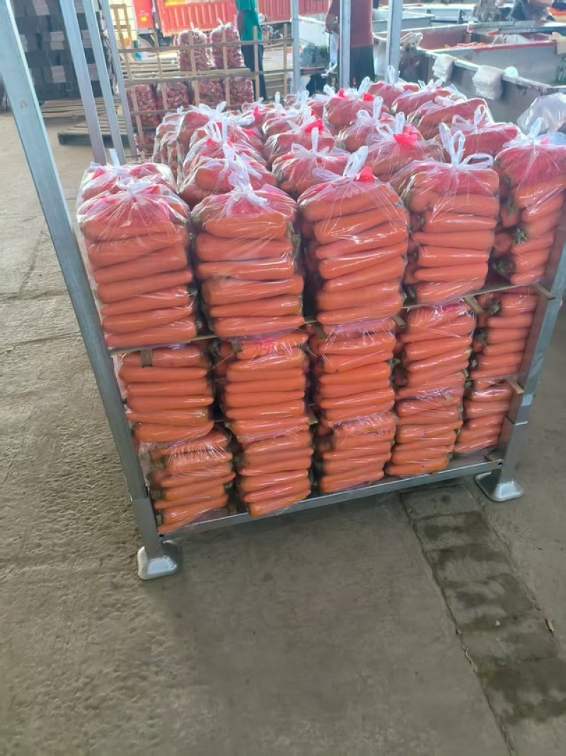【产地发货】三红胡萝卜规格多样保证质量对接全国