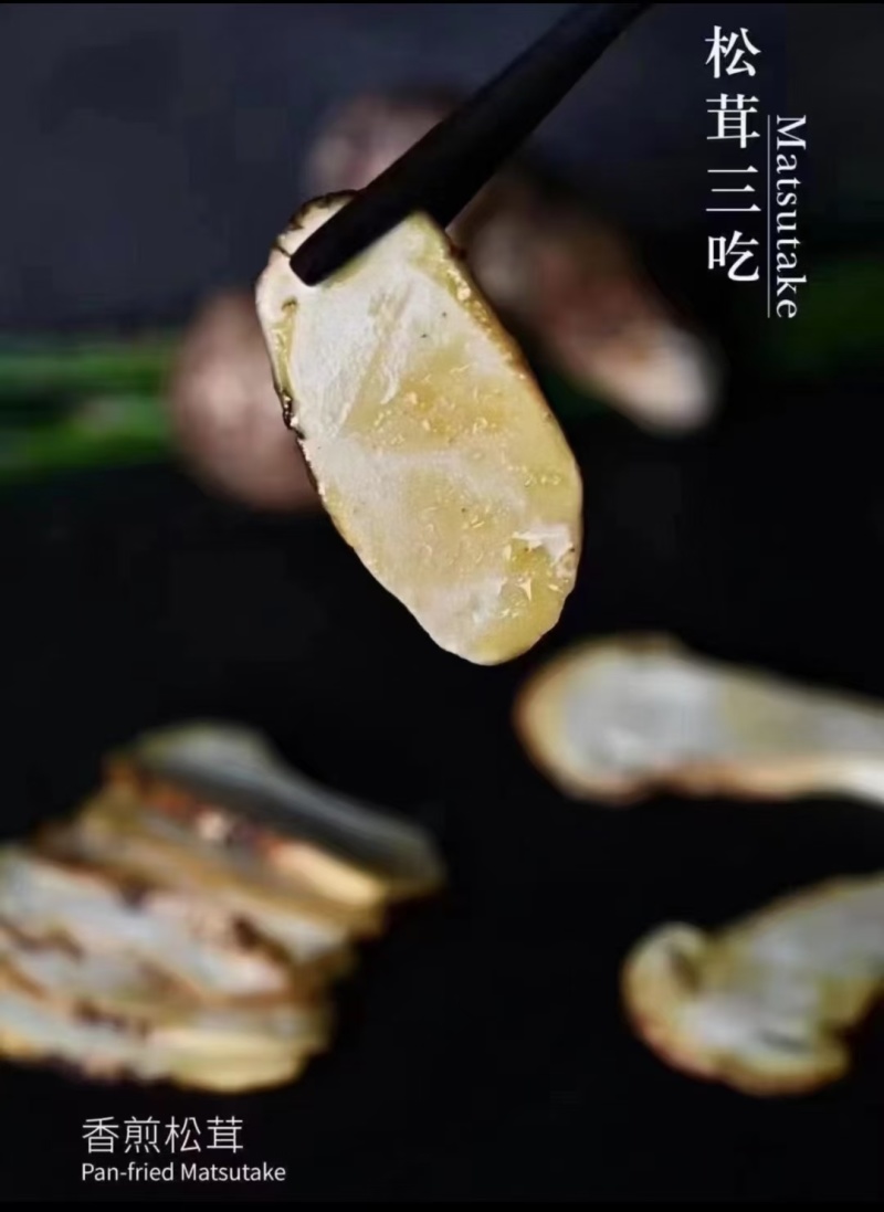 松茸冻品鲜松茸生态松茸人工松茸人工种植松茸