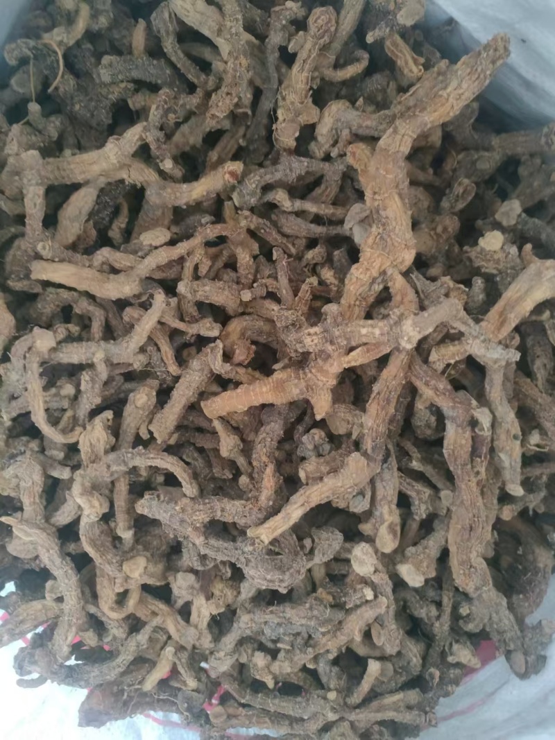 鲜黄精