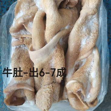 牛肚