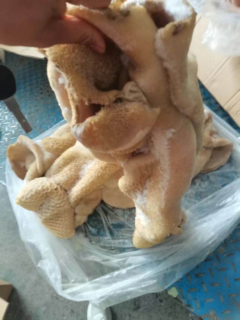 牛肚
