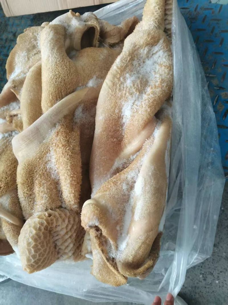 牛肚
