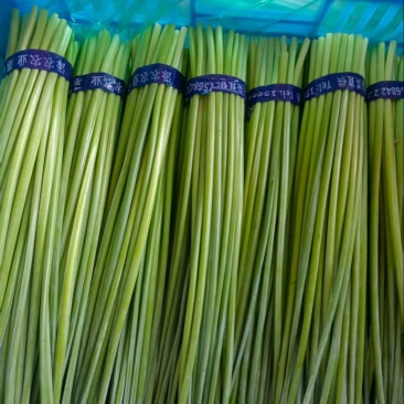 寿光韭菜苔大量出售，质量好价格稳定，新鲜上市。欢迎客户合作